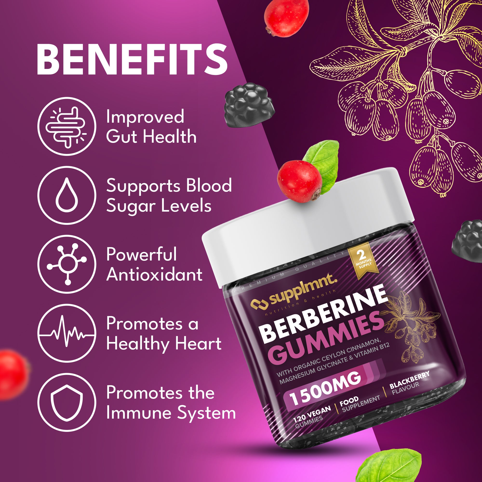 Berberine Gummies - 120-Day Supply, 1500mg Berberine with 1000mg Ceylon Cinnamon, 2.4mg Vitamin B12 & 400mg Magnesium Glycinate - Powerful Metabolism & Immune Support Supplement - BlackBerry Flavour - supplmnt