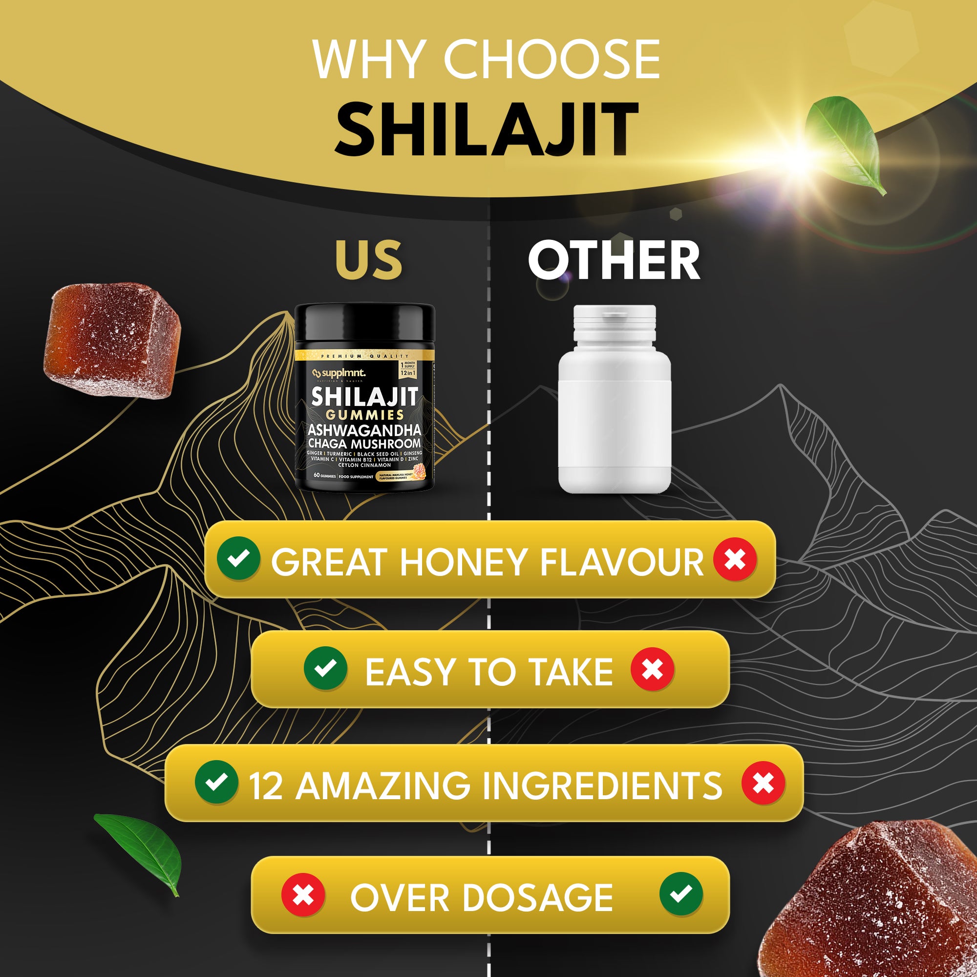 Shilajit Bundle - 2 x Shilajit Gummies with Ashwagandha, Chaga Mushroom, Ginger, Turmeric, Black Seed Oil, Ginseng, Vitamins C, B12, D, Zinc, Ceylon Cinnamon - supplmnt
